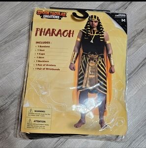 Spooktacular Creations Pharaoh Costume for Men Size MEDIUM- Black and Gold